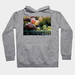 The Harvest Hoodie